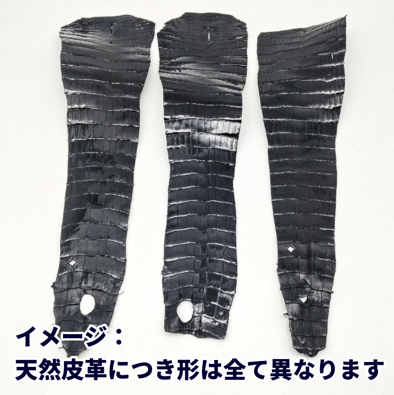 ワニ切革/クロコダイル/テール部分【サイズ保証】黒/ツヤ強/w901