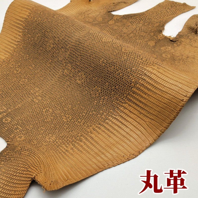 蜥蜴 革素材