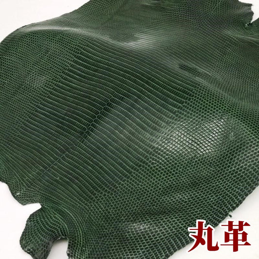 蜥蜴 革素材