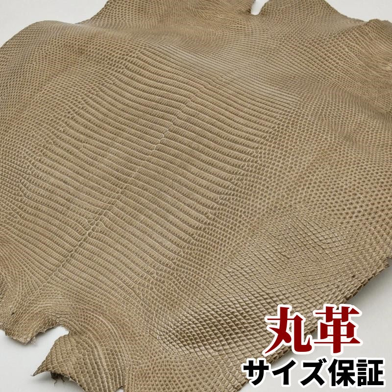 蜥蜴 革素材