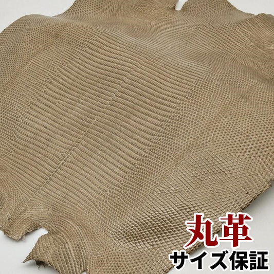 蜥蜴 革素材