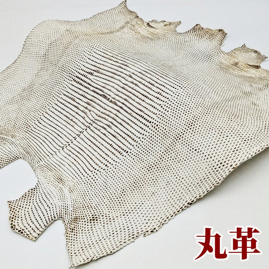蜥蜴 革素材
