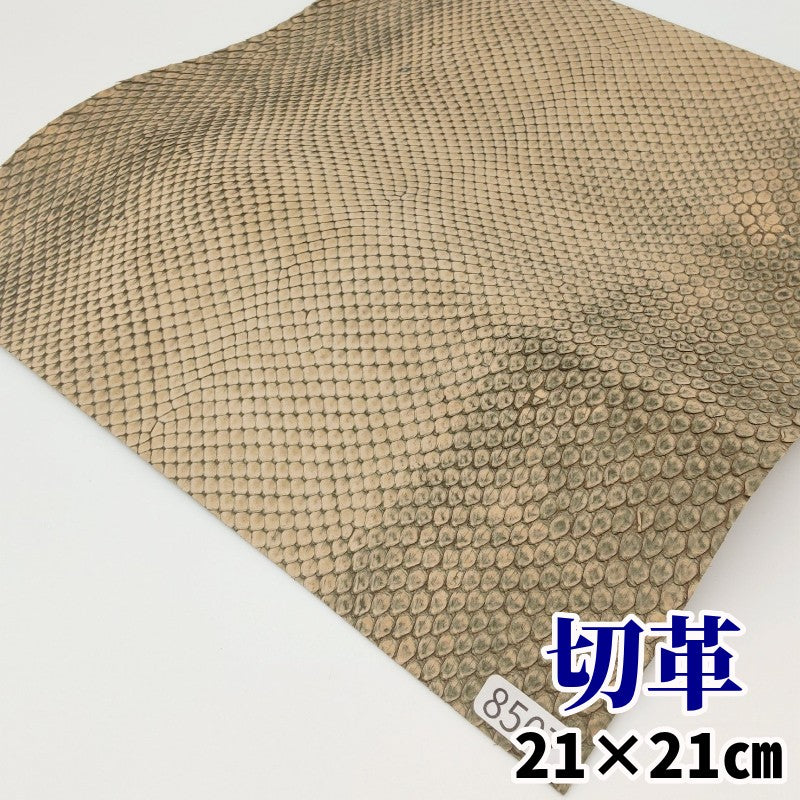 蛇 革素材