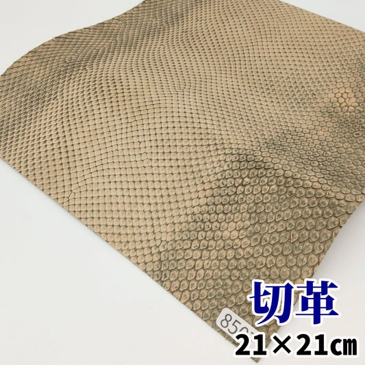 蛇 革素材