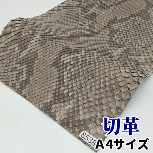 蛇 革素材