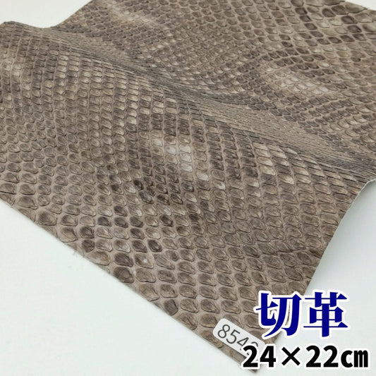 蛇 革素材