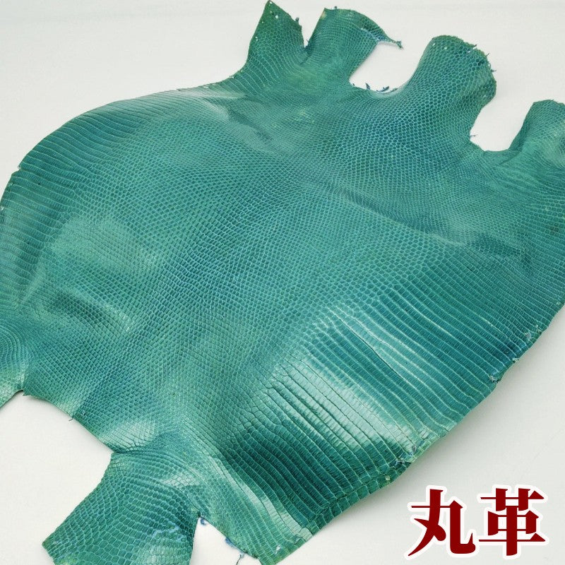 トカゲ革【最大幅27cm】ターコイズ/ツヤ強/腹割/8607 – レザーマニア