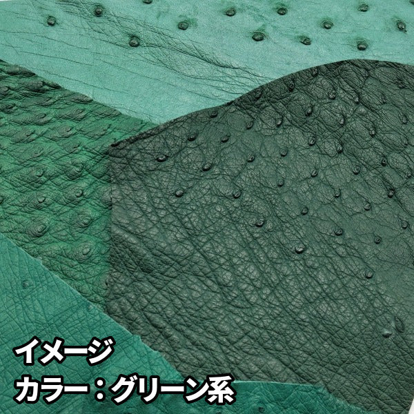 オーストリッチ革ハギレ【100g】全7色/99os