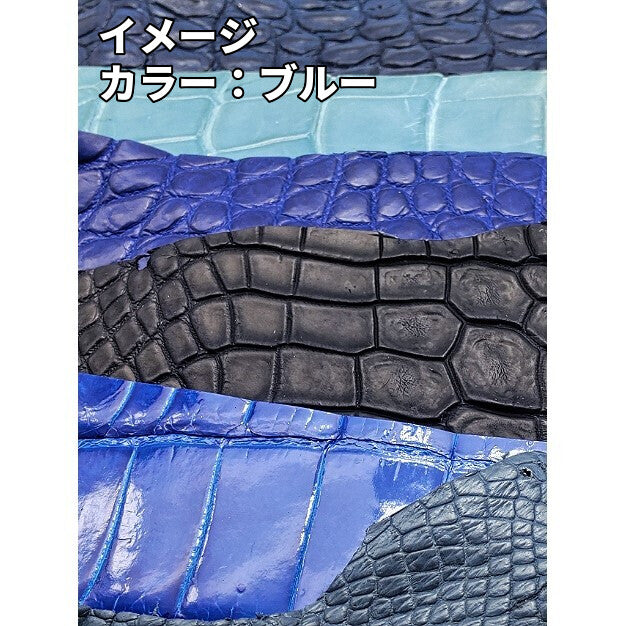 ワニ革ハギレ【60g】全9色/99w