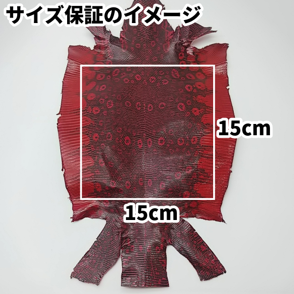 トカゲ革【最大幅20cm前後】ブラック/マット/背割/t709