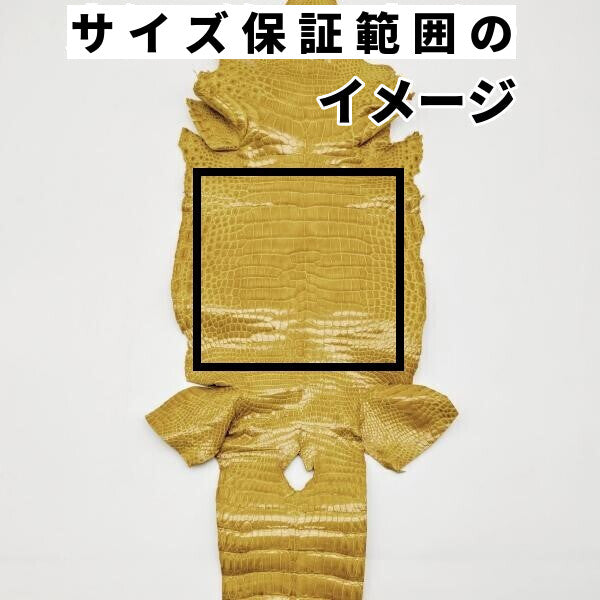 ワニ丸革/ナイルクロコダイル【一匹】ハンドメイド濃茶/w307