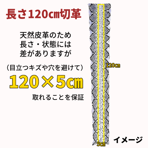 ヘビ切革/Dパイソン【切革/各サイズ】ベージュ/腹割/ツヤあり/p210