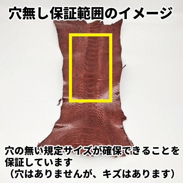 オーストレッグ革【穴無し保証】ブラック/ツヤ有/dl51