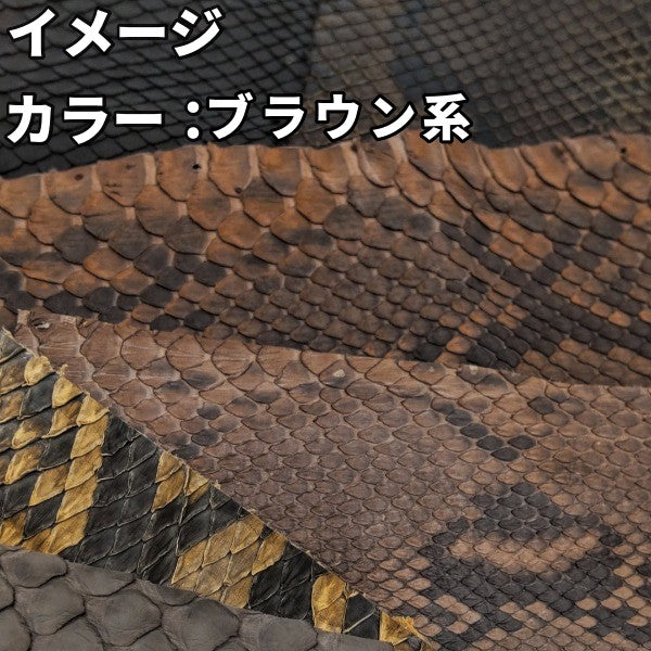 ヘビ革ハギレ【100g】全4色/99h