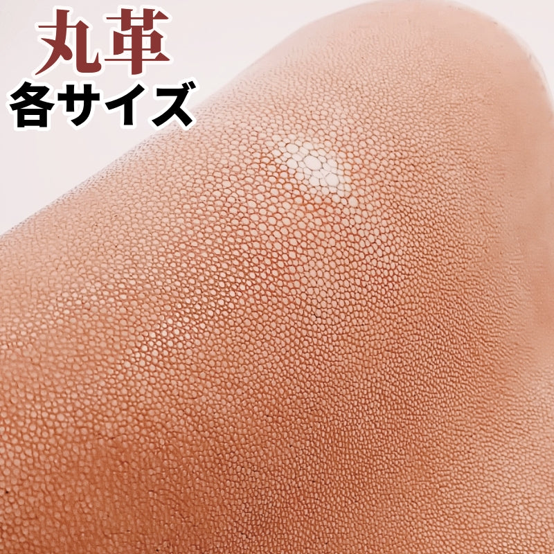 珍しい革 カラフル