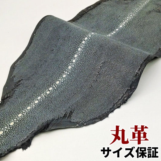 えい 革素材