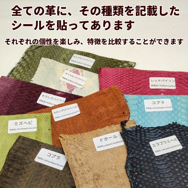 【福袋】ヘビ革24枚セット(切革20枚、丸革4枚)送料無料/fb40h