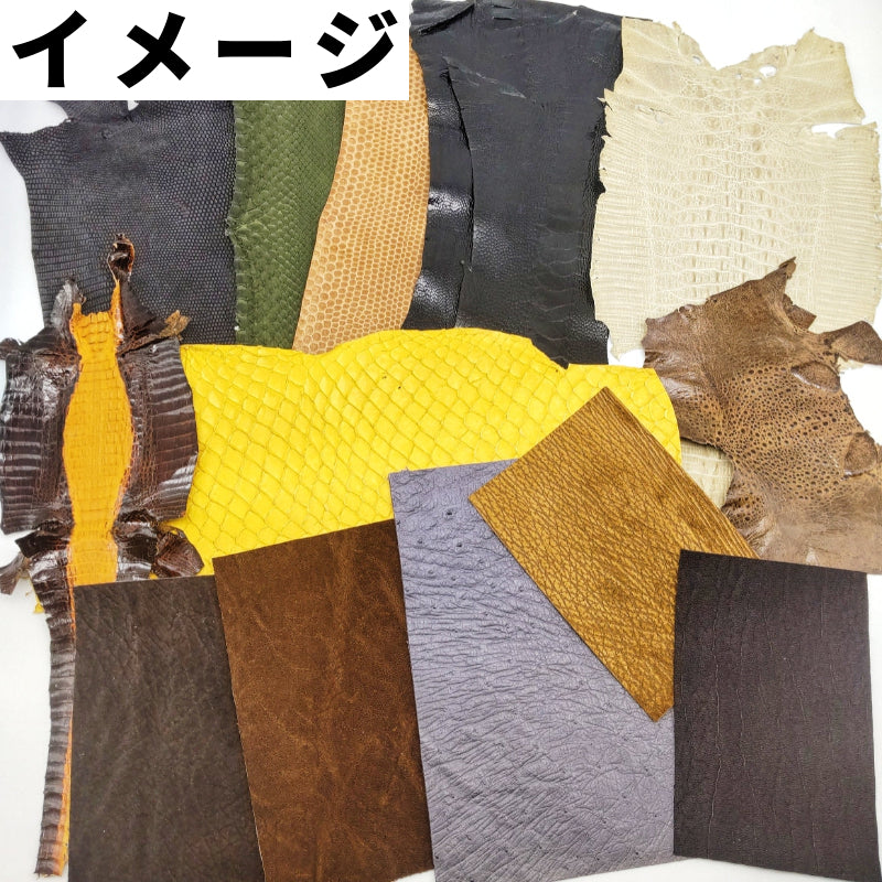 【福袋】エキゾチックレザー12種14枚/送料無料/fb45