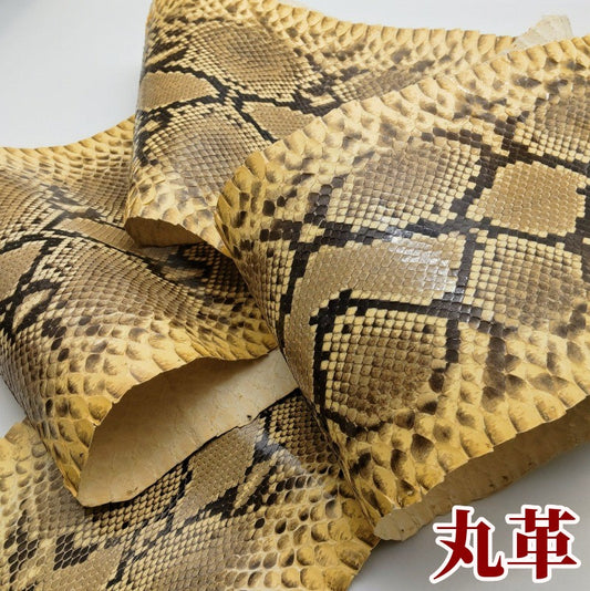 蛇 革素材