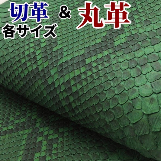 ヘビ切革/Dパイソン【各サイズ】 深緑/腹割/マット/p155