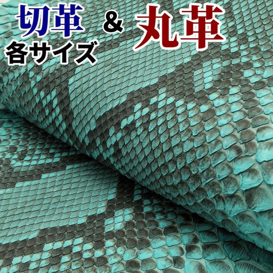 ヘビ切革/Dパイソン【各サイズ】ターコイズ /腹割/マット/p160