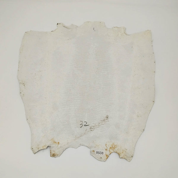 リザード黒桟革【最大幅32cm】白×生漆/ツヤ中/背割/8608hk