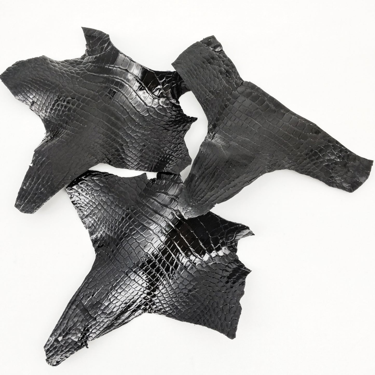 ワニ切革/ポロサスクロコ/アゴ部分【サイズ保証】黒/ツヤ強/w886