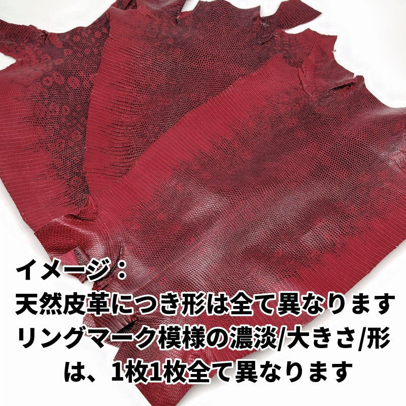 お値打ちトカゲ革/赤×リングマーク/ツヤ強/腹割/t207