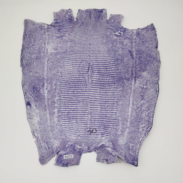 トカゲ革【最大幅30cm】パープル/ツヤ強/背割/8609