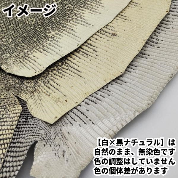 トカゲ革【最大幅32cm前後】白×黒ナチュラル/ツヤ強/腹割/t203