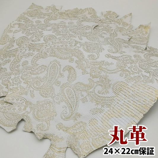 蜥蜴 革素材