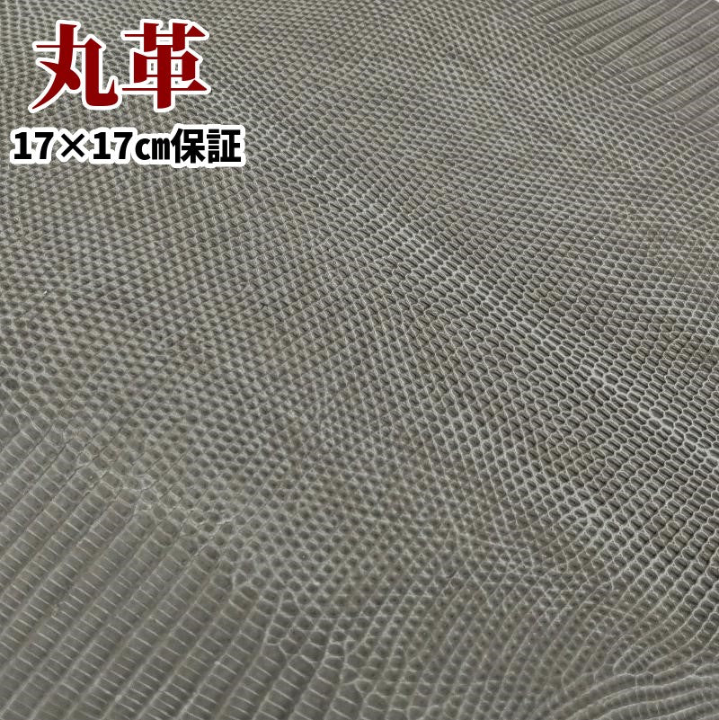 蜥蜴 革素材