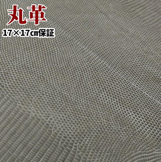 蜥蜴 革素材