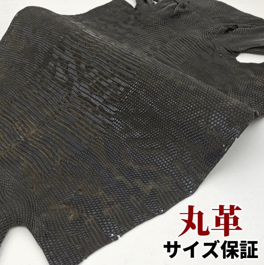 蜥蜴 ヌバック