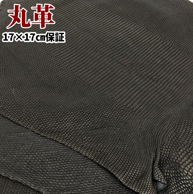 蜥蜴 革素材