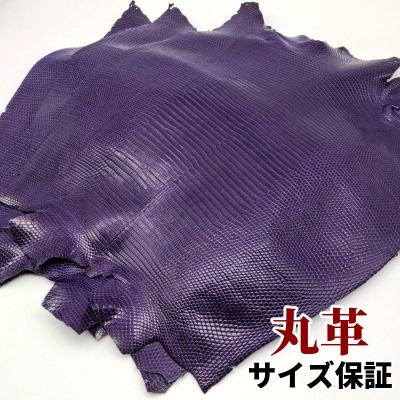 蜥蜴 革素材