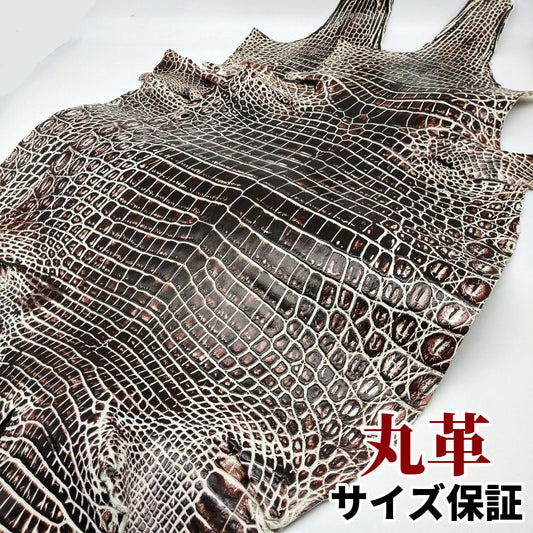 わに 革素材