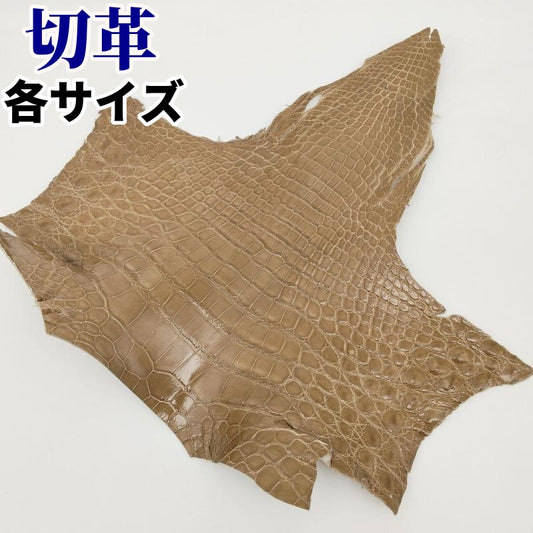 鰐 顎