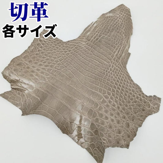 鰐 顎