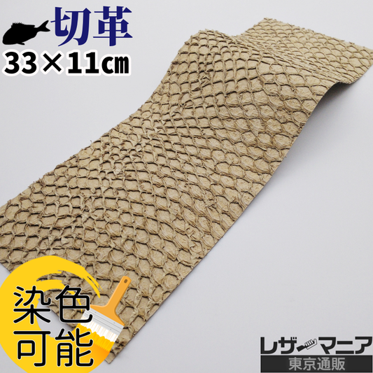 フィッシュ レザー