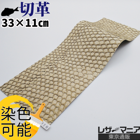 魚革 素材