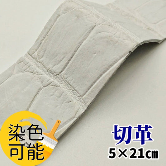 鰐革 素材