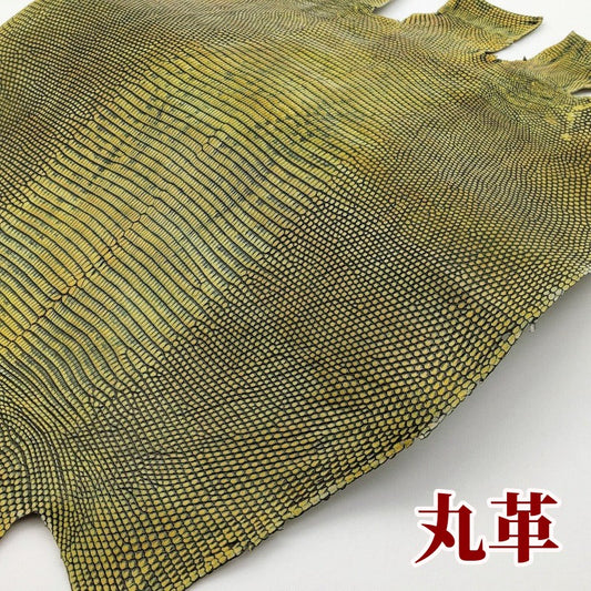 蜥蜴 革素材