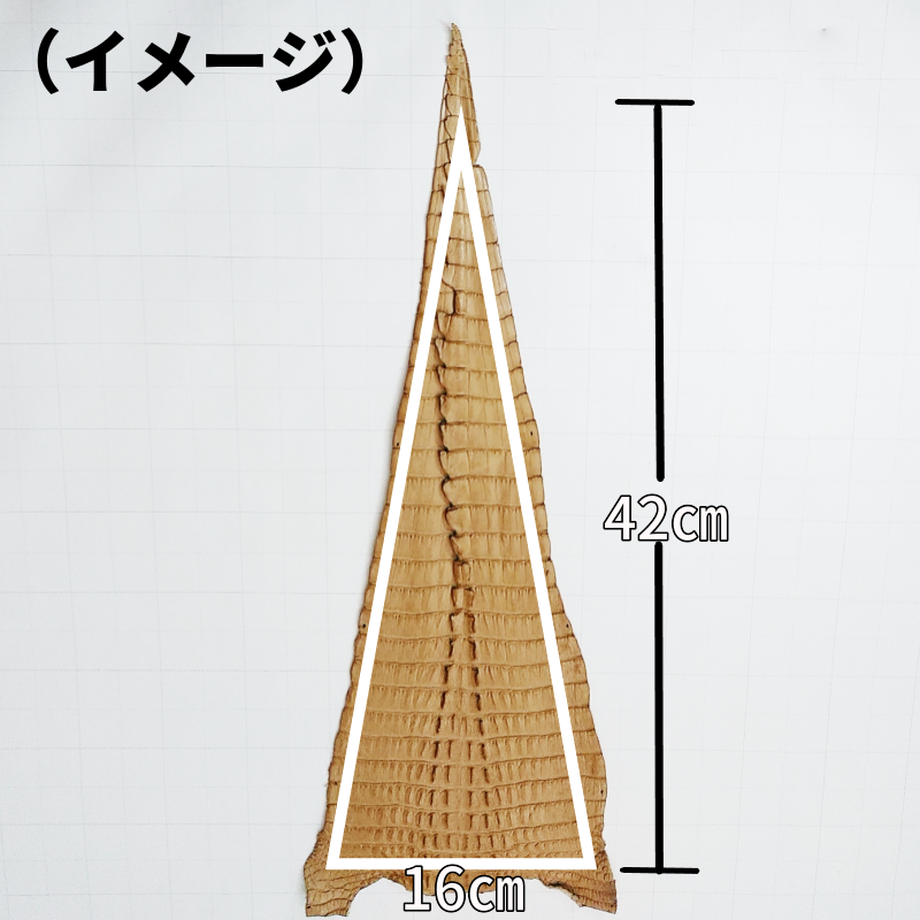 鰐革 特徴