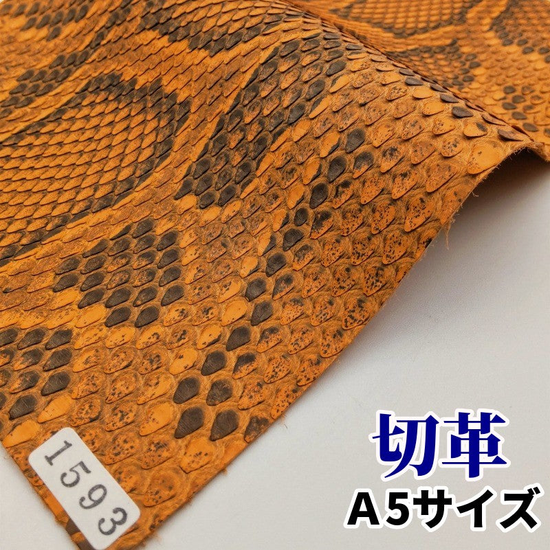 蛇 革素材