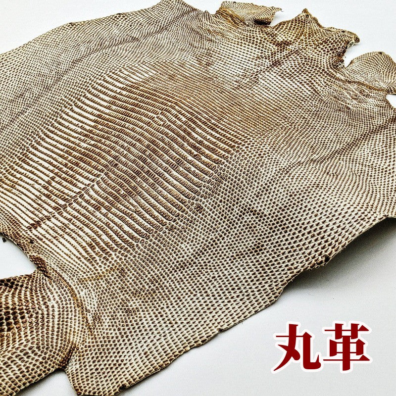蜥蜴 革素材