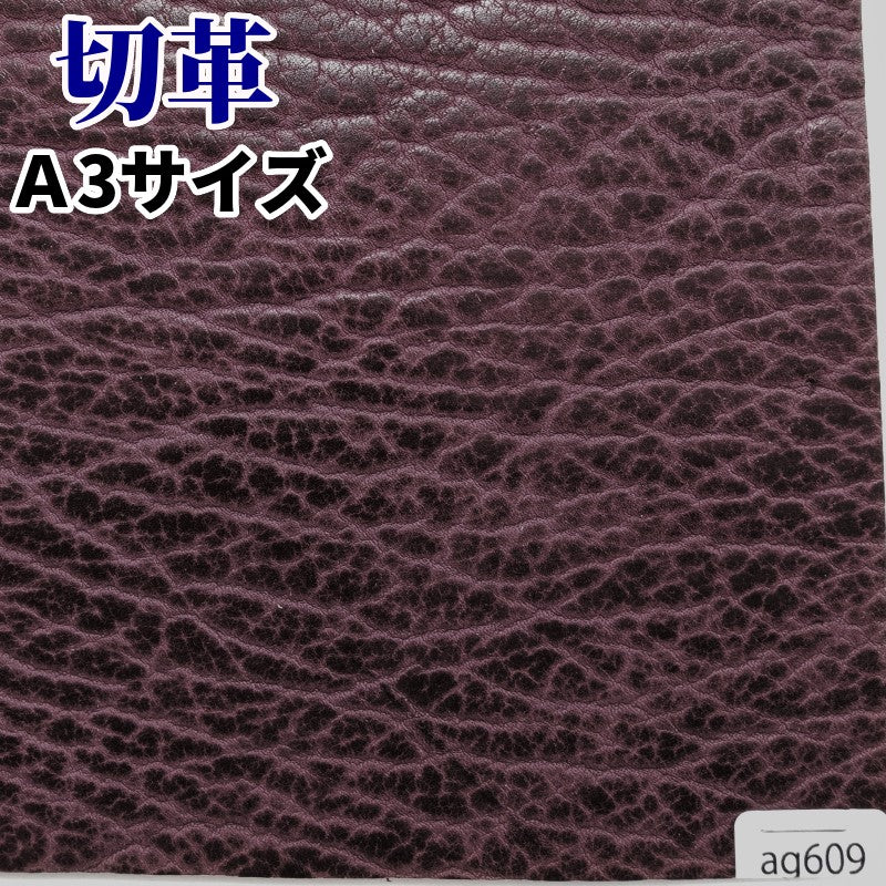 あざらし革 素材