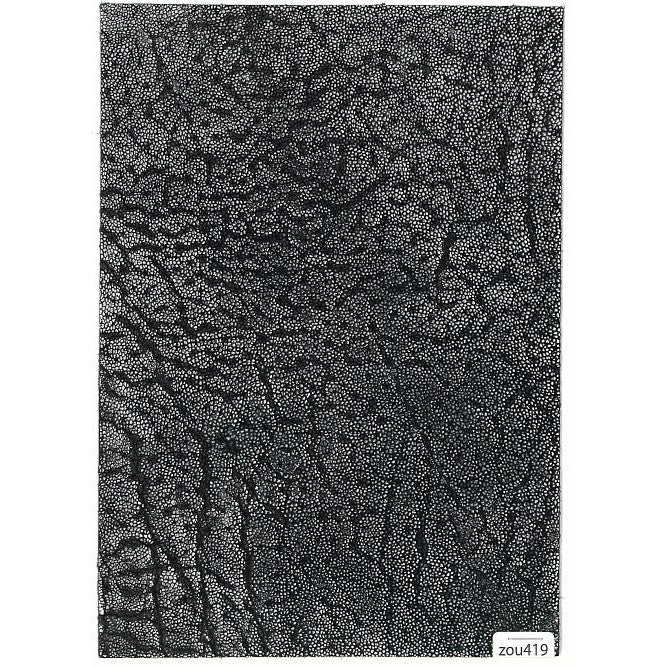 エレファント 販売