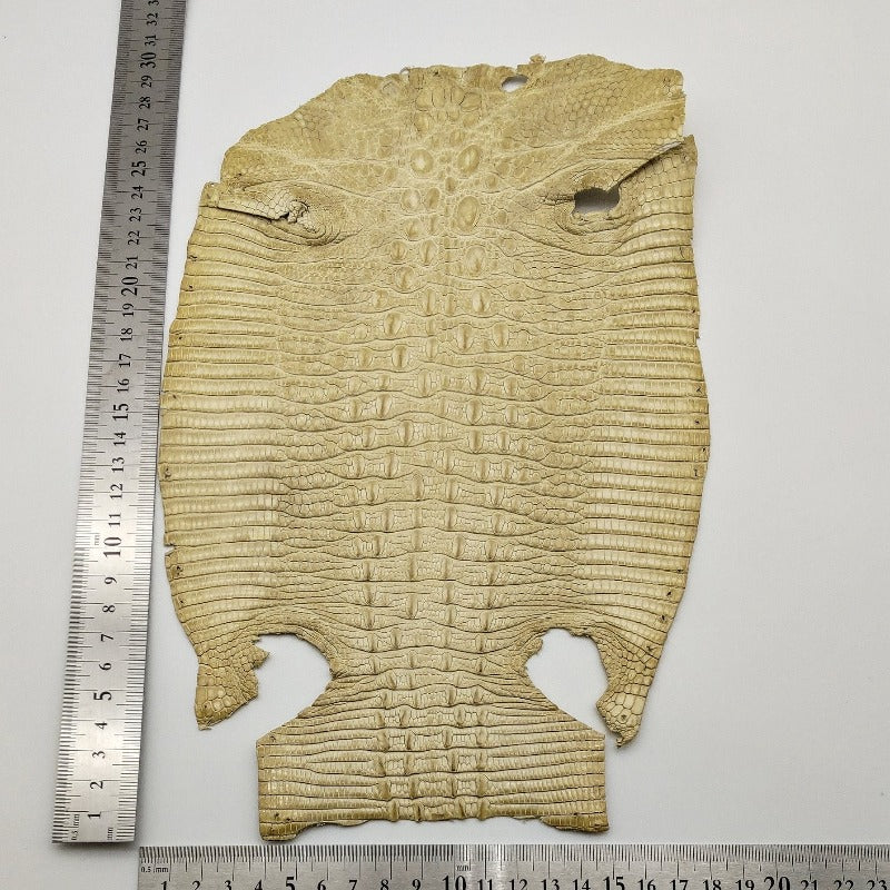 ジャクルシー サイズ