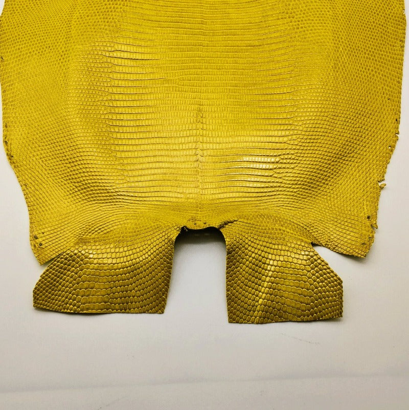 トカゲ革【最大幅32cm】イエロー/ツヤ強/背割/1342